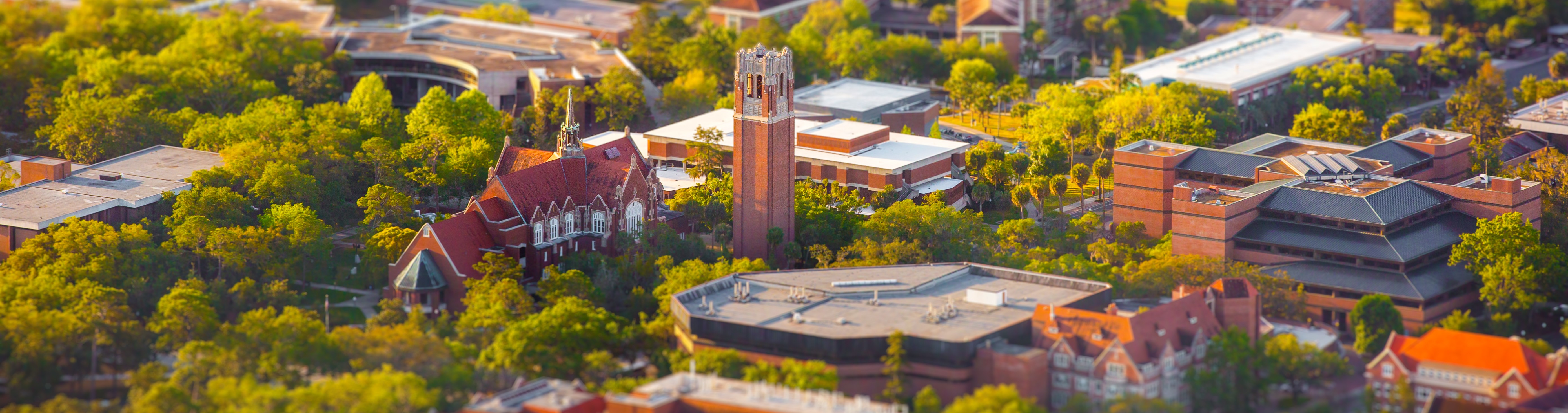 University of Florida