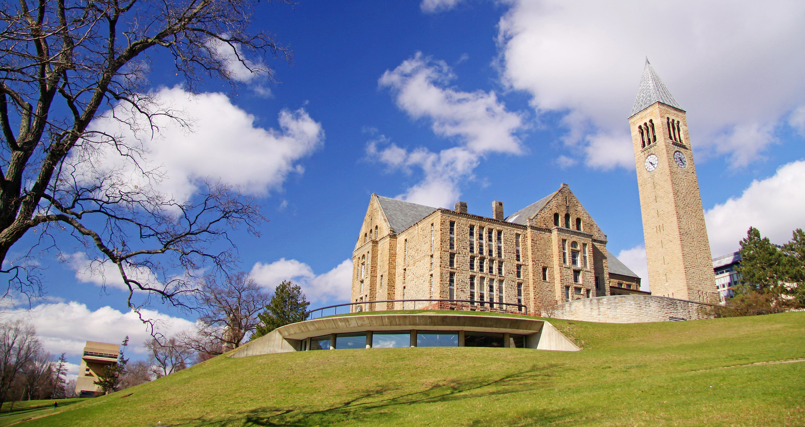 Cornell University