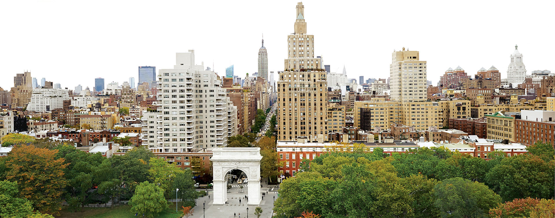 New York University