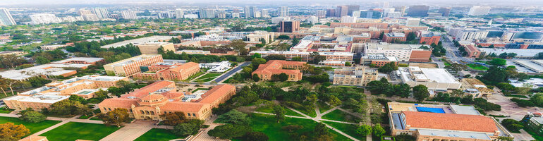 The University of California, Los Angeles